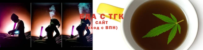 гашик Гусев