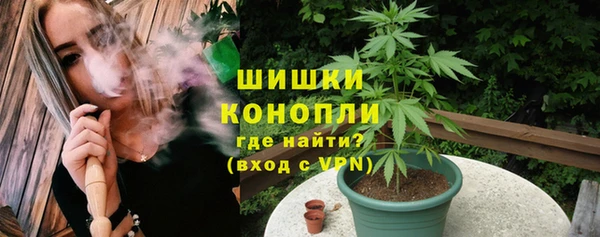 гашик Гусев