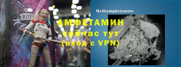 гашик Гусев